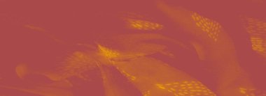 Bulanık, dokuma desenli turuncu kumaş. Yumuşak kıvrımlar ve sıcak renkler rahat, katmanlı bir doku oluşturur. Her boşluğa biraz sıcaklık katmak için mükemmeldir..