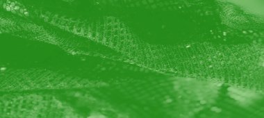 Bulanık yeşil kumaş, parlak detaylar ve parlak bir parıltı. Karmaşık ağ deseni bu sanatsal bileşime dinamik ve çağdaş bir dokunuş ekler..