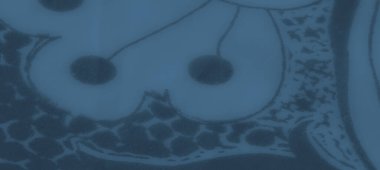 Görüntü, zarif bir mavi kumaş. Güzel detaylandırılmış çiçek aksanları ve kıvrımlı desenleri var. Sanatsal bir kompozisyon için zarifçe katlanmış..