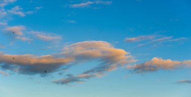 Altın saatte dramatik bir gökyüzü, gökyüzünde uzanan bulutlar, gündüzün geceye dönüşmesi gibi yumuşak ve sıcak bir ışıkla aydınlanıyor. Anahtar kelimeler: dinamik gökyüzü, dramatik bulutlar, gol