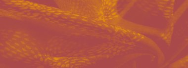 Görüntü, karmaşık dokuma desenleri olan yumuşak turuncu bir kumaş sıcaklık ve doku izlenimi yaratır. Işık ve gölgeler kıvrımlarda oynar, karmaşık tasarımı geliştirir.