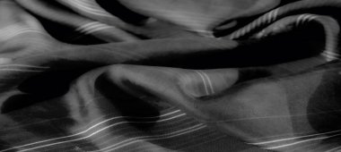 Görüntü. Kalın çizgili aksanlar ve yumuşak çiçek motifleriyle dinamik gri ölçekli kumaş modern estetik ve karmaşık dokuların bir karışımını sunuyor..