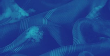 Açık mavi kumaşlı, karmaşık çiçek desenli ve çizgili detaylarla. Akan doku zarafeti yakalar, yumuşak hatlar ve incelikli sanatla..