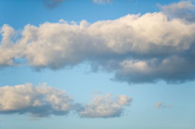 Pofuduk beyaz bulutların huzurlu mavi gökyüzünde süzülmesi rahatlatıcı ve sakin bir atmosfer yaratıyor. Arkaplanda bulutlar usulca gökyüzüne karışıyor..