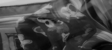 Belirsiz bir çiçek motifi ve akan şeffaflık içeren bulanık gri tonlu kumaş. Kumaşın karmaşık dokusu ışığı yakalar ve modern karmaşıklığın bir dokunuşunu ekler..