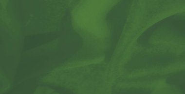 Dinamik yeşil kumaşın bulanıklığı pürüzsüz ve doğal bir dokuyla kıvrılır, zarafet ve canlılık saçan kusursuz, sanatsal bir tasarım sunar..