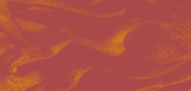 Karmaşık tasarım desenleri olan akışkan sarı kumaş bulanıklığı. Yumuşak kıvrımlar ışığı çok güzel yakalıyor, lüks iç temalar için ideal zarif, rahat bir doku yaratıyor..