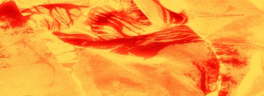 Yoğun kırmızı örtüleri olan soyut sarı kumaş bulanıklığı, karmaşık desenler yaratıyor. Dokulu yüzey ve canlı tonlar sanatsal görseller için modern, cesur bir estetik verir..