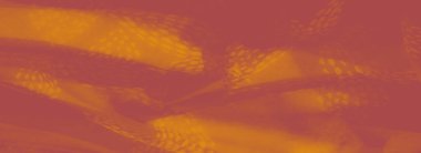 Canlı turuncu kumaştan bulanık, ince dokulu desenli, kıvrımlar halinde yakalanmış. Kumaşın sıcaklığı ve karmaşıklığı yumuşak, davetkar bir his yaratır..