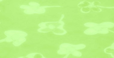 Bulanık neon yeşil kumaş ve şeffaf çiçek desenleri ruhani bir estetik oluşturuyor. Hassas kıvrımlar ve parıldayan tasarım modern, sanatsal bir cazibe ekler..