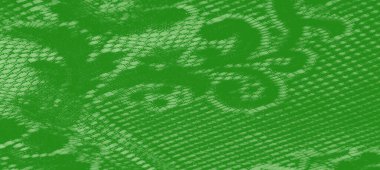 İnce ağ detaylarıyla birlikte yeşil kumaşın bulanık görüntüsü. Doku, kumaş yüzeyindeki parlayan ışıkla güçlendirilmiş, derinlik yaratan yumuşak kıvrımları vurgular.