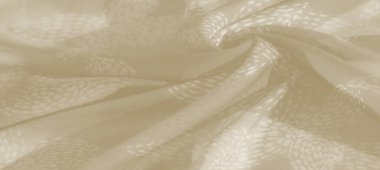 Yuvarlak, soyut desenli bulanık bej kumaş. Nazik örtüler ve hafif yansımalar huzurlu, zarif bir his verir. Sakinleştirici ve lüks bir arka plan için mükemmeldir..