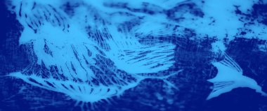 Karmaşık dokular ve desenler içeren mavi bir kumaşın bulanıklığı soyut doğal formlar, ince ışık ve koyu zıtlıklar..