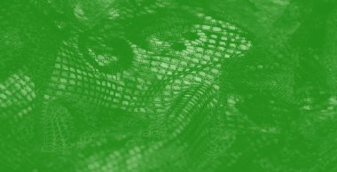 Görüntü: Parıldayan yansımaları ve ağ desenleri olan zarif yeşil kumaş, narin işçilik ve ışık ve maddenin yumuşak etkileşimi.