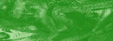 Görüntü: Parıldayan yansımaları ve ağ desenleri olan zarif yeşil kumaş, narin işçilik ve ışık ve maddenin yumuşak etkileşimi.