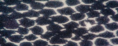 Karmaşık desenler ve canlı renkler içeren canlı kumaşın yakın plan görüntüsü. Katlar ve doku zarif tasarıma derinlik ekler.