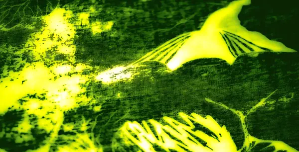 Koyu siyah ve sarı çizgili yeşil kumaştan bulanık dokular, iç içe geçmiş dokular, modern ve yaratıcı bir estetik sunuyor..