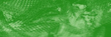 Bulanık yeşil desenli kumaş imgesi. Karmaşık ağ deseni ışığı yakalıyor, parıltılı bir etki yaratıyor. Soyut arkaplan ve tasarım projeleri için mükemmel