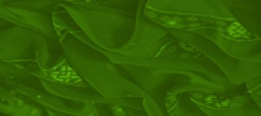 Işıldayan aksanları ve akan kıvrımları olan detaylı yeşil kumaş. Şeffaf madde dinamik ve büyüleyici bir soyut etki yaratır..