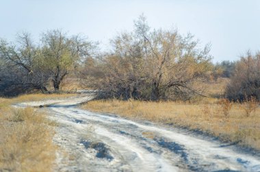 Bozkırdaki sonbaharın çarpıcı güzelliğinin tadını çıkar. Toprak yollar boyunca manzaralı bir sürüş yapın ve nefes kesici manzaralara hayran olun. Bu huzurlu topraklarda insan ve doğa arasındaki uyumu görüyor musun?.