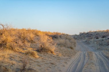 Çölde sonbahar günbatımının güzelliğinin tadını çıkar. Alacakaranlıkta kumulların canlı ve sıcak renklerine tanık olun. Doğanın çarpıcı gösterisinin sükuneti ve ihtişamının tadını çıkarın..