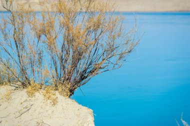 Sonbahar, Steppe. Çayırlar. Nehir. Bu huzurlu nehir, uçsuz bucaksız çölün cazibesini somutlaştırıyor sakin suları, yorgun ruhlar için sığınak görevi görüyor, Yaşam Nehri Çöl Aşkı.