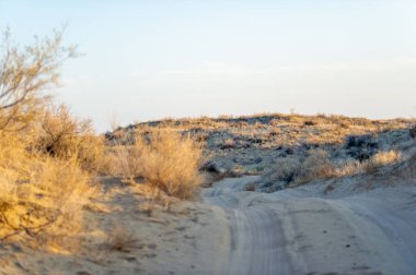 Bozkırdaki sonbaharın güzelliğinin tadını çıkar. Kum tepelerinde nefes kesen gün batımlarını izleyin. Kendinizi büyüleyici çöl manzaralarına daldırın..