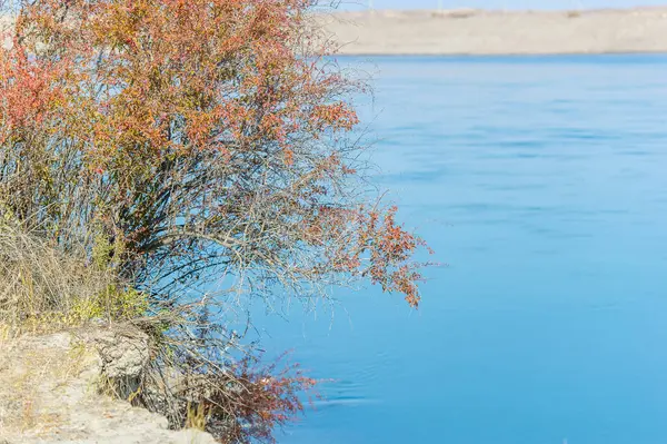 Sonbaharda kendini doğanın güzelliğine bırak. Bozkır ve bozkırın ferahlığını ve dinginliğini hisset. Manzarayı keşfederken nehrin huzurlu akışının tadını çıkarın..