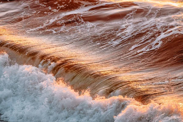 Sea wave and golden sunset reflection, Pacific Ocean, California, USA, close-up. Beautiful scenery, and background