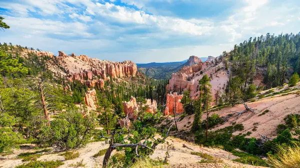 Bryce Canyon Ulusal Parkı Utah ABD, güzel doğal manzara, konsept, turizm, seyahat simgesi