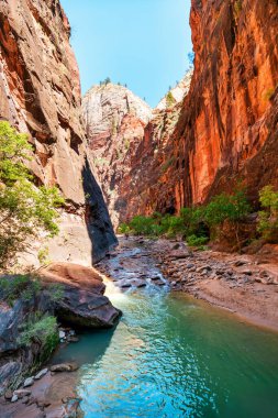 Zion Ulusal Parkı, Utah, ABD, patika daralıyor. Güzel manzara, ilkel doğa, inanılmaz resimsel uçurumlar ve dağlar. Kavram, turizm, şehir simgesi