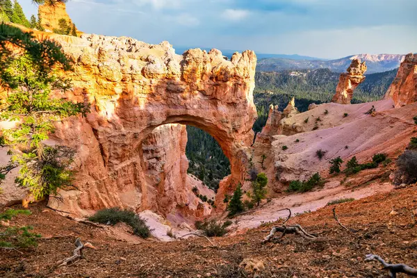 Bryce Canyon Ulusal Parkı Utah ABD, güzel doğal manzara, konsept, turizm, seyahat simgesi