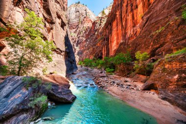 Zion Ulusal Parkı, Utah, ABD dar yol. Güzel manzara, inanılmaz manzaralı uçurumlar ve dağlar. Kavram, turizm, seyahat, dönüm noktası