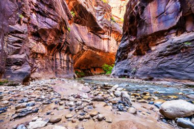 Zion National Park, Utah, USA narrowing trail. Beautiful scenery, views of incredibly picturesque cliffs and mountains. Concept, tourism, travel, landmark clipart