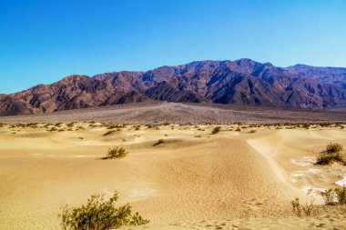 Sand Dunes, Gizemli ve Şaşırtıcı Manzara Haze, Ölüm Vadisi California