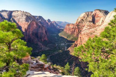 Zion Ulusal Parkı, Utah, ABD. Güzel manzaralar, ilkel doğa, inanılmaz güzel kayalar ve dağlar. Kavram, turizm, şehir simgesi