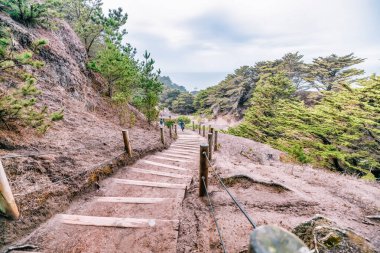 San Francisco 'daki Land' s End Trail, Pasifik 'in kayalık kıyı şeridi boyunca popüler bir yürüyüş. Kaliforniya 'nın güzel manzaraları