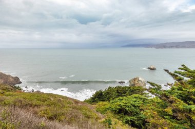 San Francisco 'da okyanus kıyısında kayalık bir kıyı. Güzel Kaliforniya doğa manzarası.