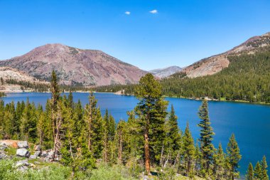 Güzel göl ve kürk ağaçları, Tioga geçidinde Yosemite yolu üzerindeki milli parkta.