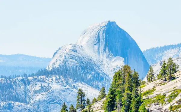 stock image Half dome and Pines, Olmsted point, Yosemite National park, California, USA