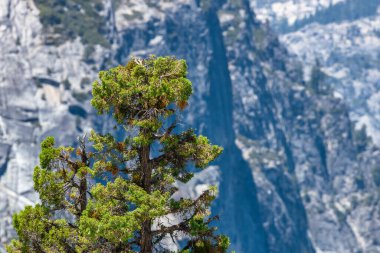 Yosemite Ulusal Parkı 'ndaki Mist Trail' den Merced Nehri Dağları manzarası. Kaliforniya 'da Yaz Tatili Seyahati, ABD.
