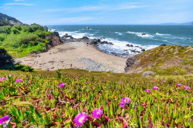Güzel okyanus manzarası, Mile Rock Beach, San Francisco, California, Golden Gate Ulusal Dinlenme Alanı, ABD