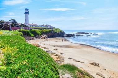 Pigeon Point Işık İstasyonu California 'nın Pasifik sahili boyunca 1. Otoyol' da.