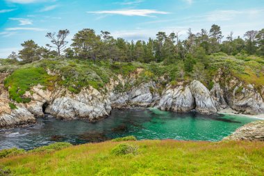 Point Lobos Doğal Rezervi, Carmel, Monterey County, California, Amerika Birleşik Devletleri, Kuzey Amerika