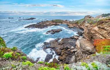 Point Lobos Doğal Rezervi, Carmel, Monterey County, California, Amerika Birleşik Devletleri, Kuzey Amerika
