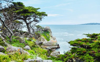 Point Lobos Doğal Rezervi, Carmel, Monterey County, California, Amerika Birleşik Devletleri, Kuzey Amerika