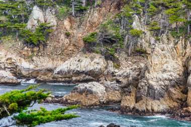 Point Lobos Doğal Rezervi, Carmel, Monterey County, California, Amerika Birleşik Devletleri, Kuzey Amerika