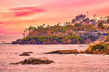 Orange County California 'daki Treasure Island Park' ta palmiye ağaçları olan Laguna Sahili Okyanus Kıyısı.
