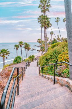 Orange County California 'daki Treasure Island Park' ta palmiye ağaçları olan Laguna Sahili Okyanus Kıyısı.