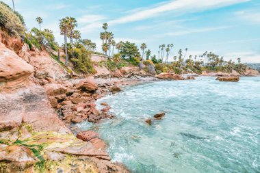 Orange County California 'daki Treasure Island Park' ta palmiye ağaçları olan Laguna Sahili Okyanus Kıyısı.